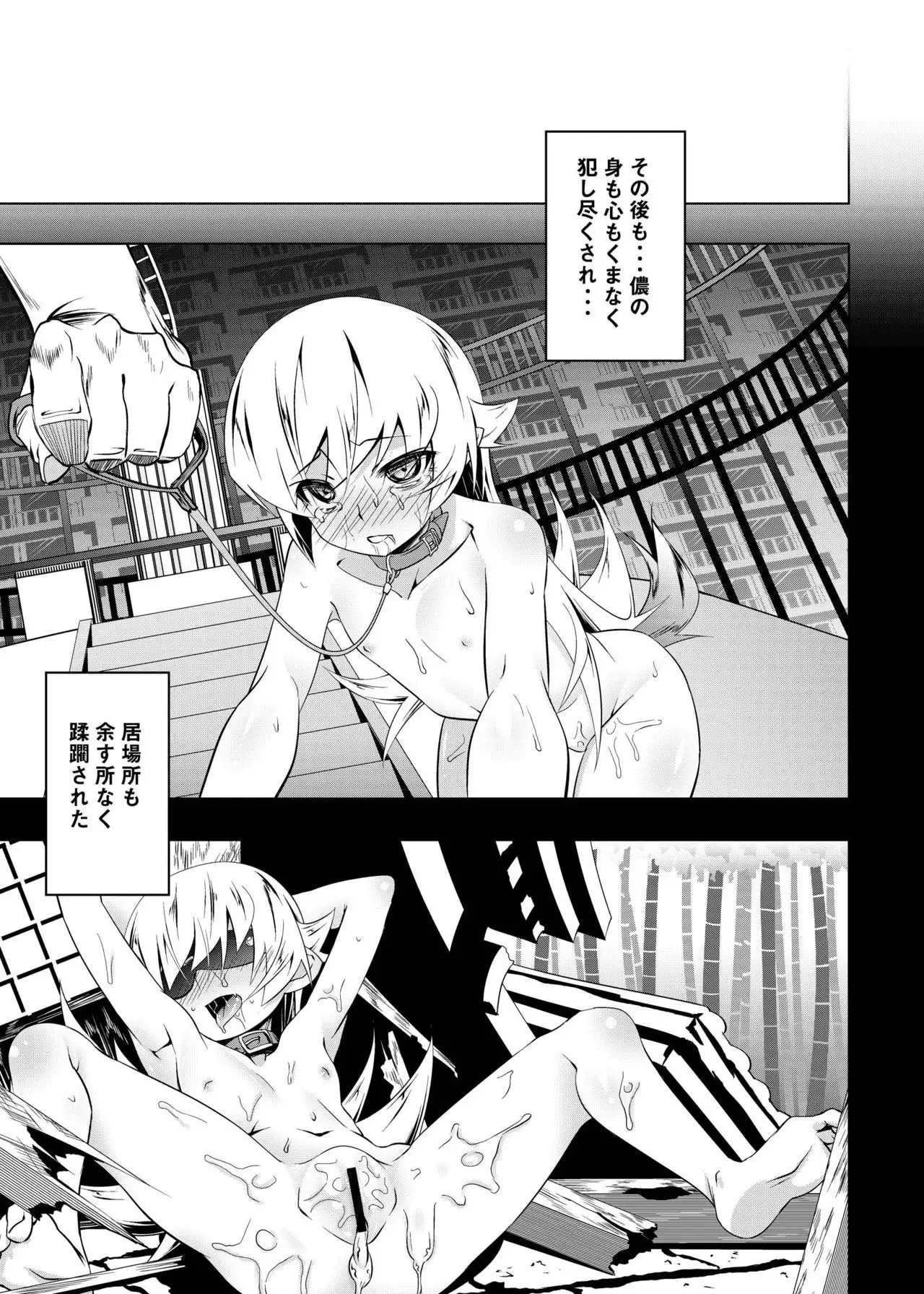 Netoraregatari Soushuuhen