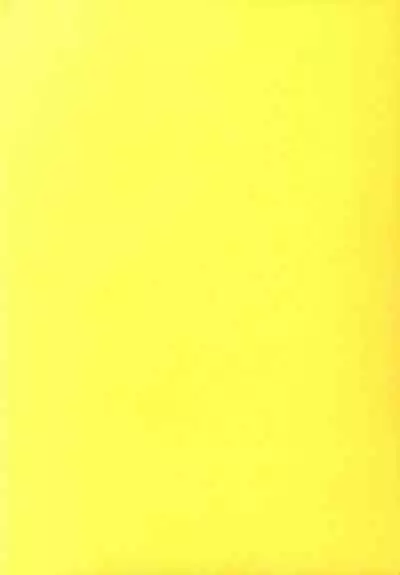 Sawamura Spencer Eriri no Rinri Shinsakai Append