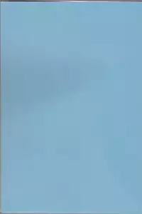 (Ichiruki Kentei) [Utsumuki Garden (Aotsuki Kakka)] Sputnik Introduction (Bleach)