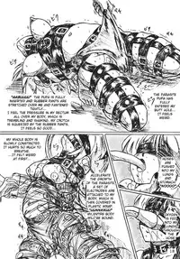 [Sumomo Dou] Bibi Anbetsu 23 [ENG]