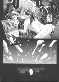 (C80) [NextPreview (MIA, Kasuki Masato)] Ryoujoku Material (Mahou Shoujo Lyrical Nanoha)