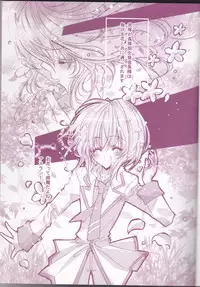 (C66) [LOLIPOP (Takewakamaru)] Tanemaki Gakuen Seitokai Shikkoubu (Gundam SEED)