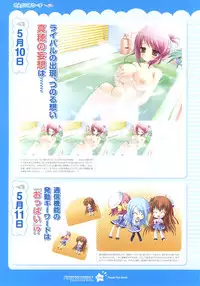 Tsunagaru Bangle - Visual Fan Book