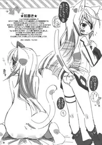 (C80) [CHIBIKKO KINGDOM (Kekocha)] Cecilia Chou Tokkyuu + IS Ero Uchiwa (Infinite Stratos)