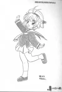 [AKKAN-Bi PROJECT] Card Captor Sakura Complete 2