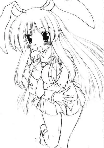 BOUSOU-GET! | 望想月兔