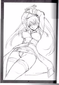 (COMIC1☆3) [Soreya (Nishitsuki Tsutomu)] Histoire d'F (Mahou Shoujo Lyrical Nanoha)