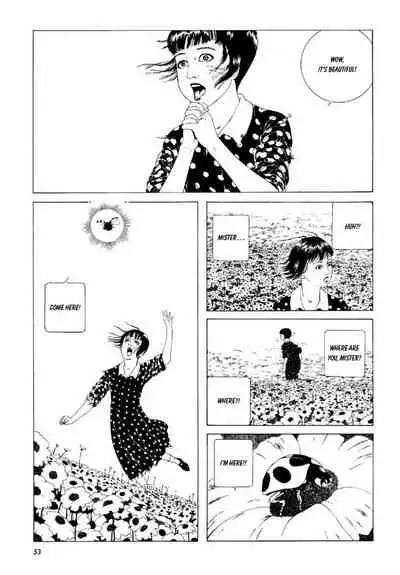 Shōjo Tsubaki | Mr. Arashi's Amazing Freak Show