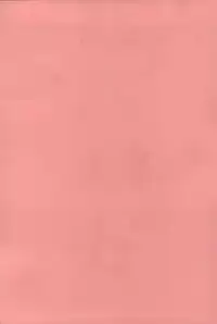 [Arsenal] Hatsujou Harlem Note - Estrus Harlem Note