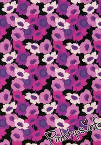 [pinktips.info (kazuha)] Cosplay Reitaisai o Katte shimatta. (Touhou Project) [Digital]