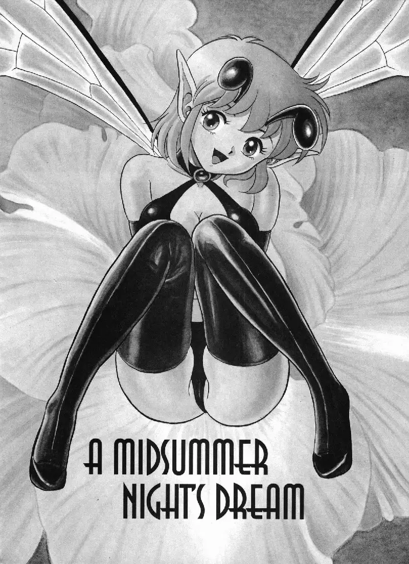 New Bondage Fairies vol2 - CH2