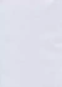 (C69) [Leaf Party (Nagare Ippon)] Lele Pappa Vol. 8 (ToHeart2)