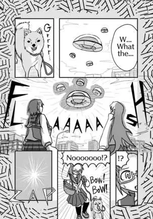 Henka-kei-bo TF Account book