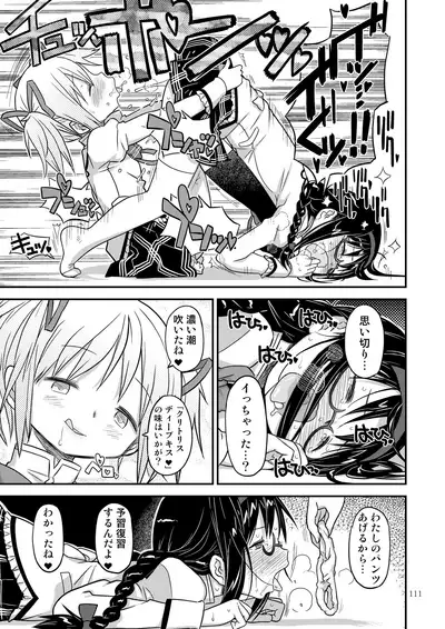 [GADGET (A-10)] Kongan Tanetsuke Koushuu Benjo (Puella Magi Madoka Magica)