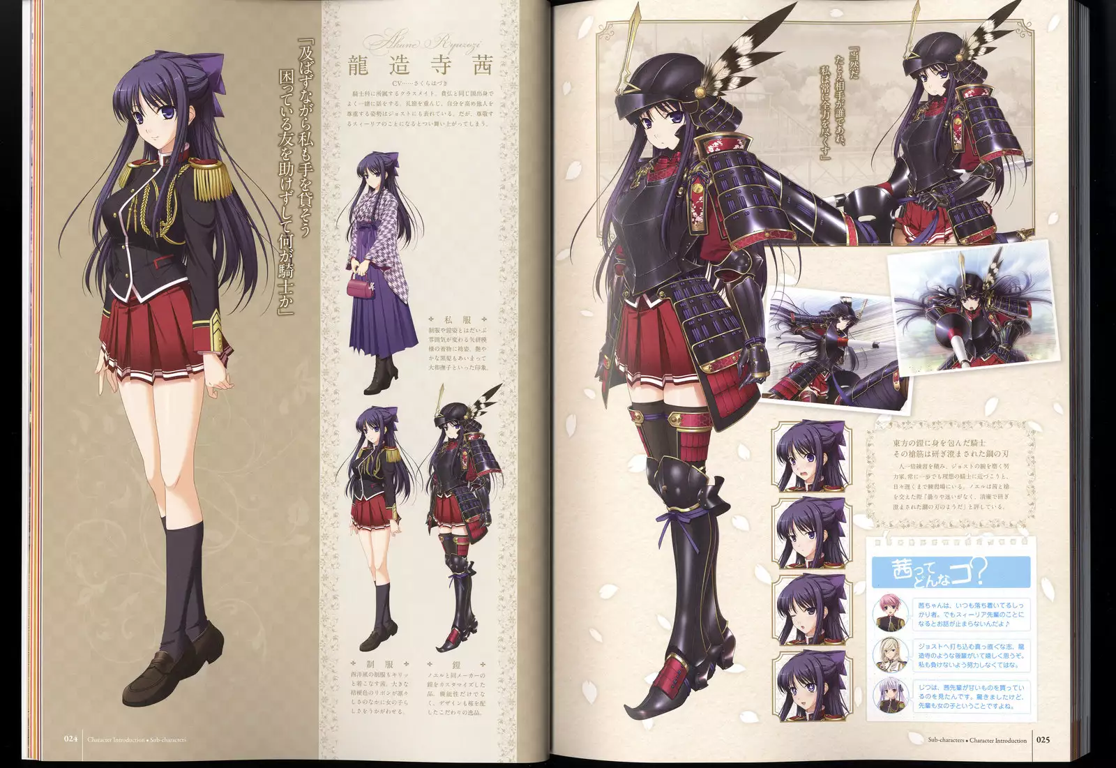 Walkure Romanze Visual Fanbook