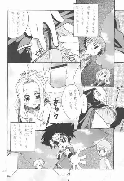 (C58) [Shamontei (Shamon)] I WISH (Digimon Adventure)