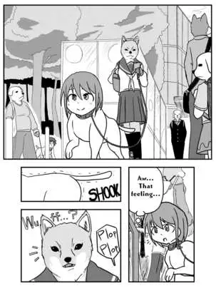 Henka-kei-bo TF Account book