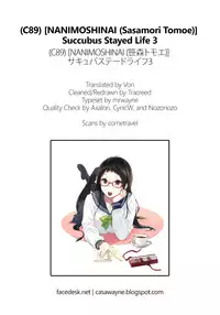 (C89) [NANIMOSHINAI (Sasamori Tomoe)] Succubus Stayed Life 3 [English] [Facedesk + CW]