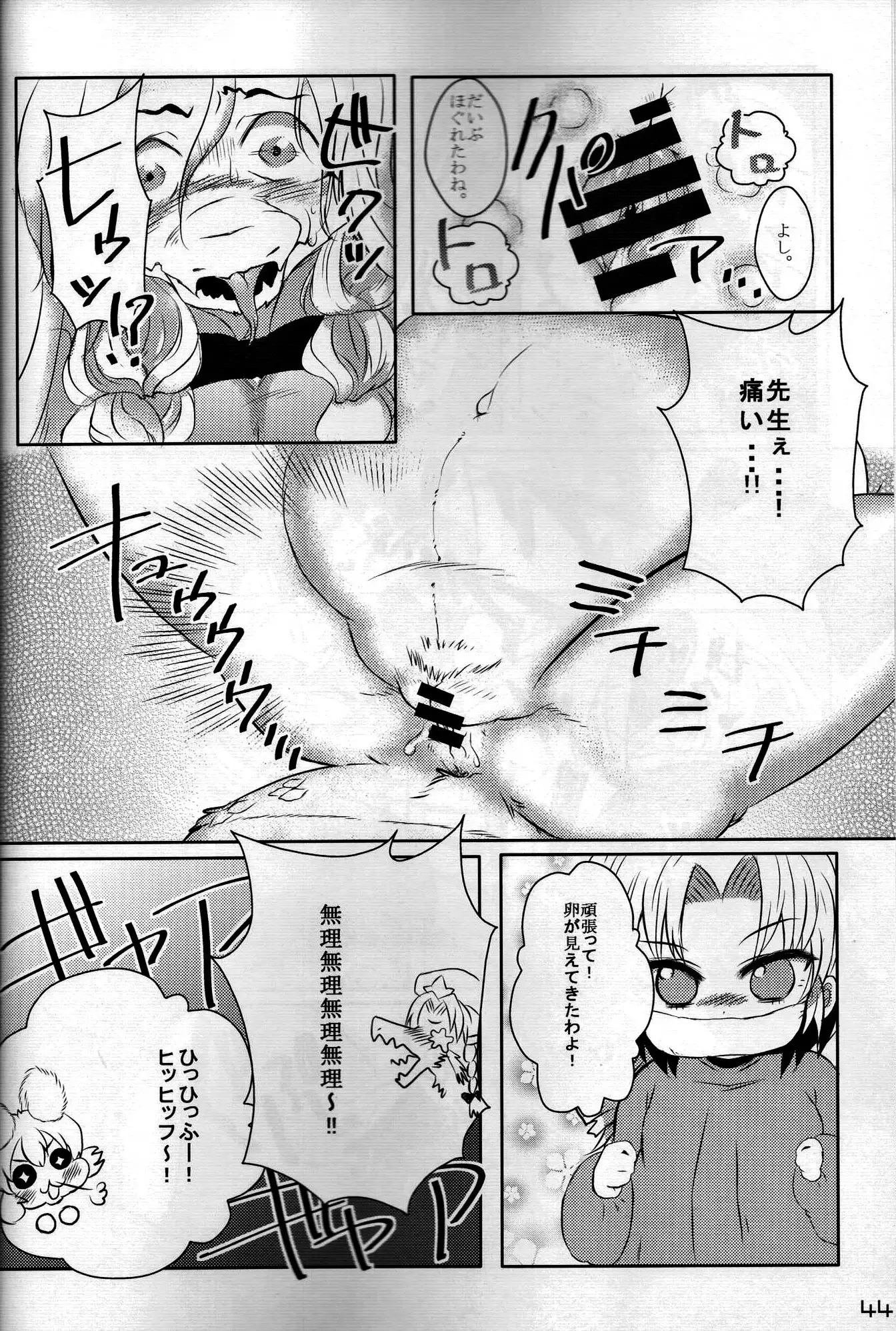 Touhou PLUMFUR FINAL (Touhou Project