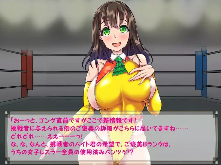 ドMプロレス2 画像集