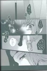 (C75) [Sorairoenogu (Kanei Yoh)] Victim Sanctuary (Yu-Gi-Oh 5D's)