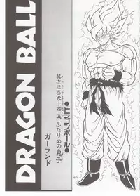 [Rehabilitation (Garland)] DRAGONBALL H Bessatsu Soushuuhen (Dragon Ball Z)