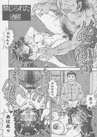 [RunRunRun PCH (Merubo Run)] Ninpu no Hon