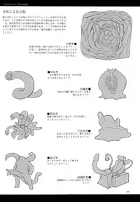 (C89) [SHIS (Z-ton)] A Beautiful Greed Z-ton Jingai Soushuuhen