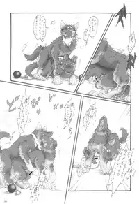 (Kansai! Kemoket 2) [KTQ48 (Various)] KTQ 5