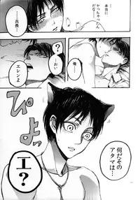 [Onjire (Tani)] Nekomimi Heichou ga Hatsujoushiteru Dake no Hon (Shingeki no Kyojin)