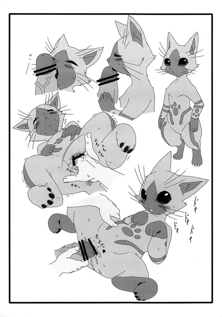 | Late Night Prowler