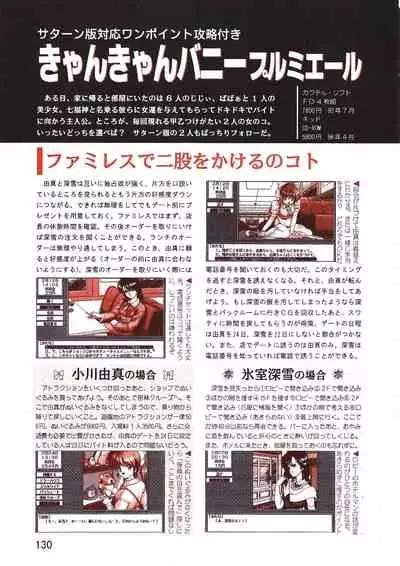 PC Bishoujo Software Strategy Book: Strategy King 2