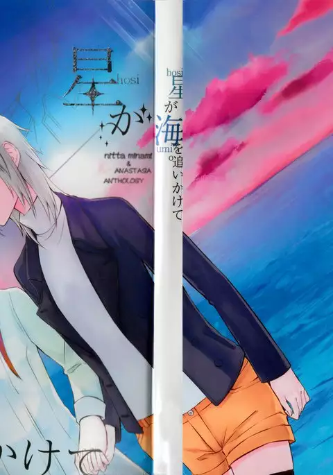 「Sea stars are chasing」