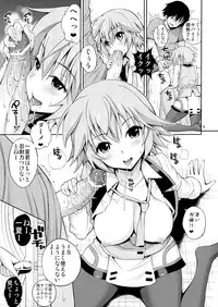 (C84) [Popochichi (Yahiro Pochi)] SHE IS A TECHNICIAN (Infinite Stratos)