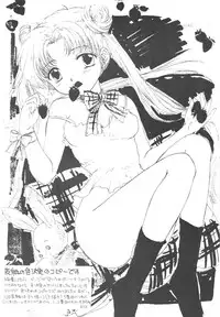 [Sailor Q2] Sailor Q2 Fuckin' Works (Sailormoon)