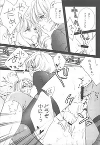 (C76) [Akai Tsubasa (Tachibana Chata)] .001 (Fantasy Earth ZERO)