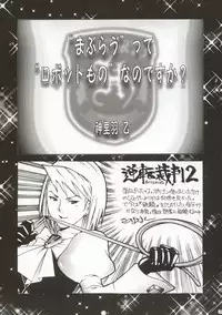 (C63) [ST.DIFFERENT (Various)] OUTLET 14 (Muv-Luv)