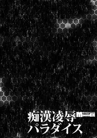 [Anthology] Cyberia Maniacs Chikan Ryoujoku Paradise Vol.2 [Digital]