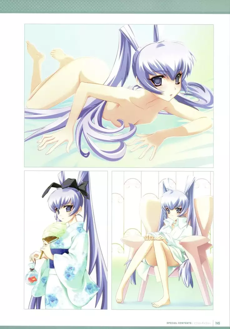 Muv-Luv Supplement & Altered Fable Memorial Art Book