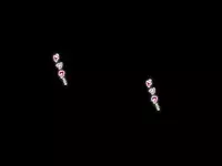 (同人誌)[サークルENZIN] 喜美嶋家での出来事4(完結)セックス結婚式編