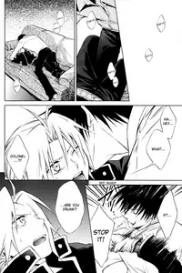 [Saya Iwasaki] Shimekoroshinoki (Fullmetal Alchemist) [English]