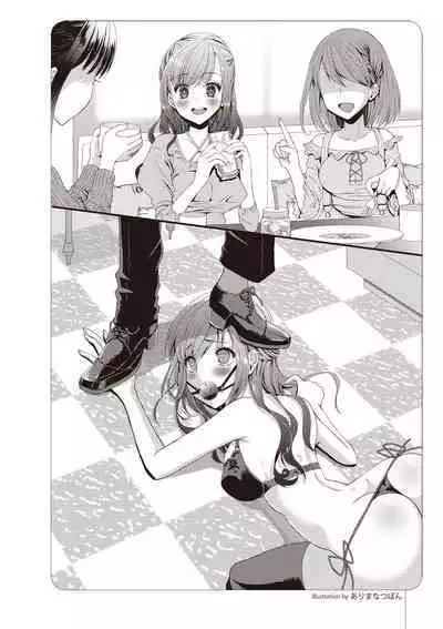 Zero kara Hajimeru SM Manual Kawaii Dorei Shiikujutsu