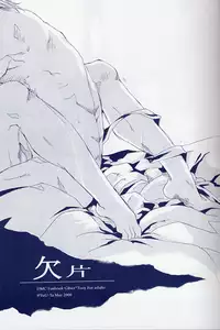 [Devil May Cry] Fragment (VergilxDante)