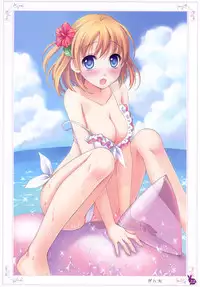 [Rabbit] habit net chronicles 2nd volume