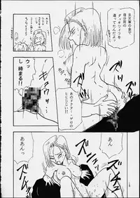 (C49) [Chirigami Goya / Fusuma Goten] Z (Dragonball)