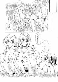 (C85) [Hi-per Pinch (clover)] N (IS <Infinite Stratos>)