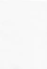 [Mochi] Shinazu no Himegimi