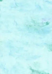 Too Shy Shy Boy [Sailor Moon]