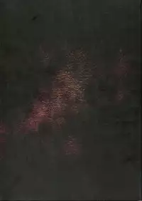 Dies irae Visual Fanbook - Black Book