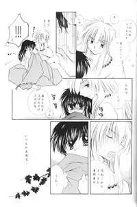 [Sakurakan (Seriou Sakura)] Yuuyami Ryuuseigun (Inuyasha)